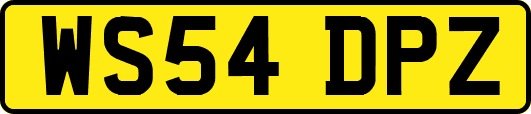 WS54DPZ