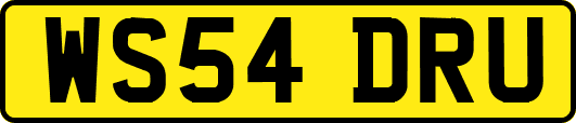 WS54DRU