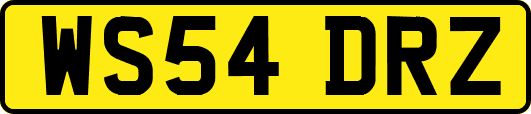 WS54DRZ