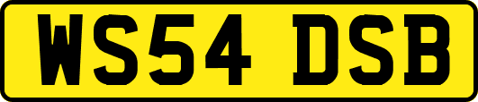 WS54DSB