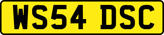 WS54DSC