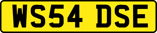 WS54DSE