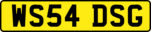 WS54DSG