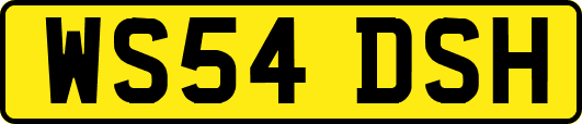 WS54DSH