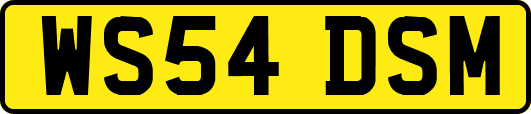 WS54DSM