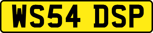WS54DSP