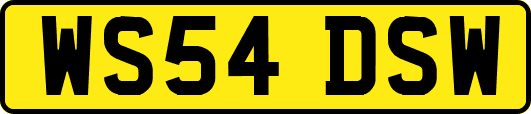WS54DSW