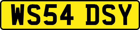 WS54DSY