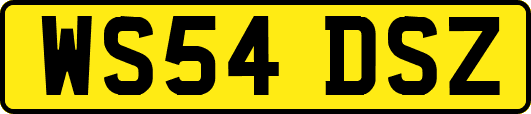 WS54DSZ