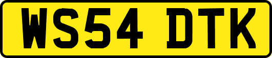 WS54DTK