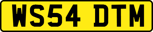 WS54DTM