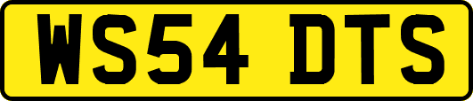 WS54DTS
