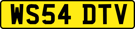 WS54DTV