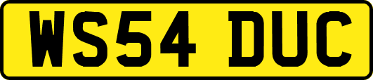 WS54DUC