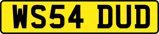 WS54DUD