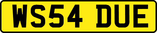 WS54DUE