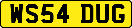 WS54DUG