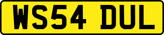 WS54DUL
