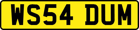 WS54DUM