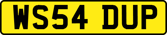 WS54DUP