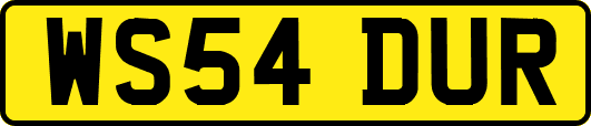 WS54DUR