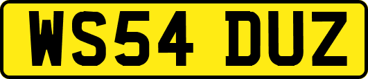 WS54DUZ
