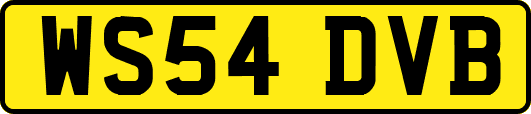 WS54DVB