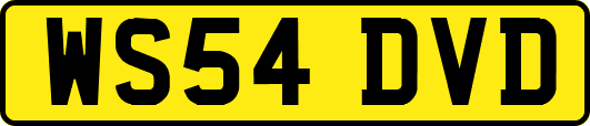 WS54DVD