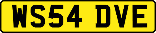 WS54DVE