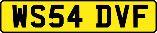 WS54DVF
