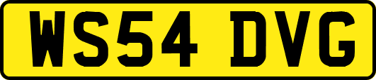 WS54DVG