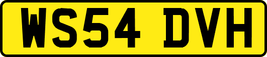 WS54DVH