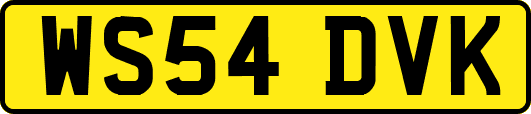 WS54DVK