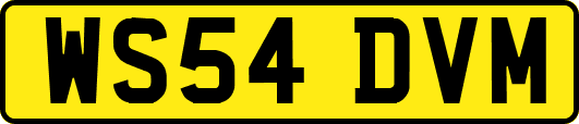WS54DVM