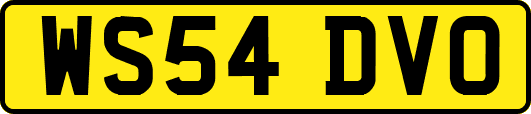 WS54DVO
