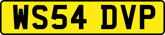 WS54DVP