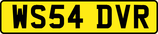 WS54DVR