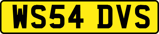 WS54DVS