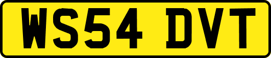 WS54DVT