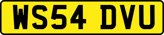 WS54DVU