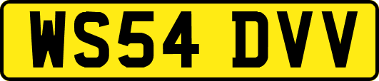 WS54DVV