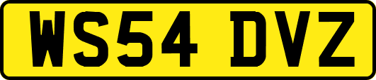 WS54DVZ
