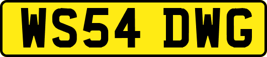 WS54DWG
