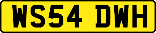 WS54DWH