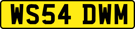 WS54DWM