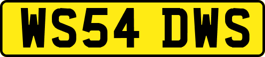 WS54DWS
