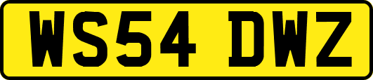 WS54DWZ