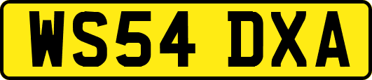 WS54DXA