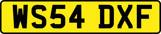 WS54DXF