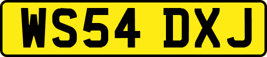 WS54DXJ